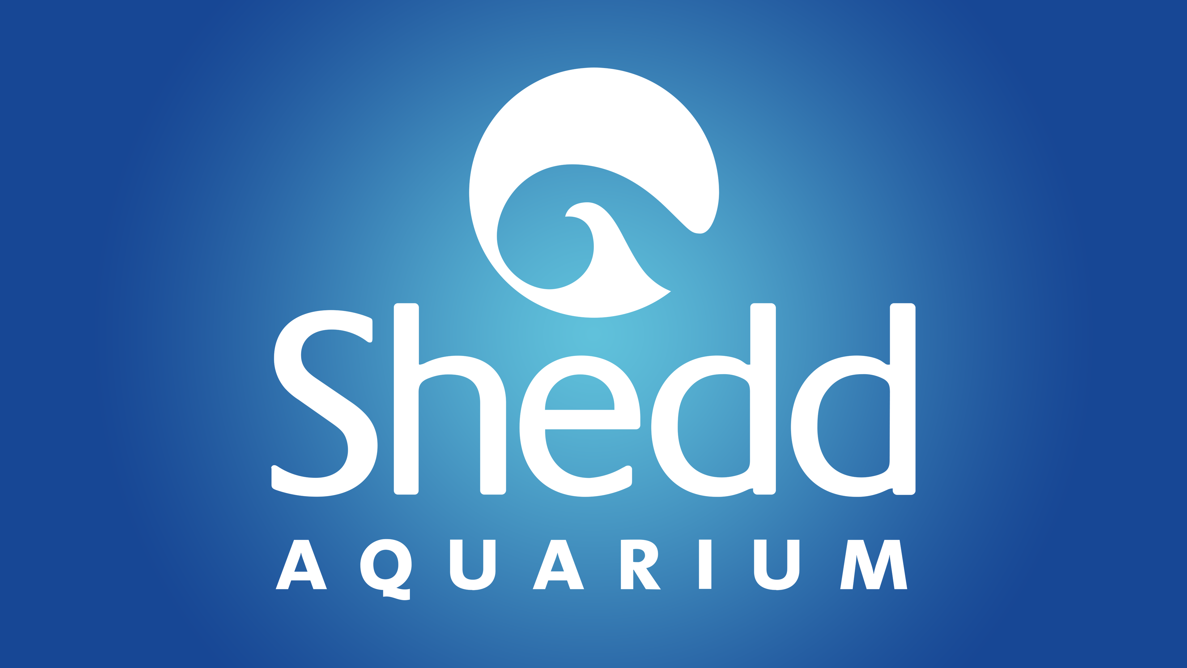 Shedd Aquarium 