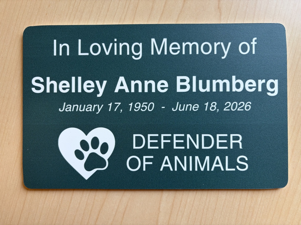 Memorial Plaque