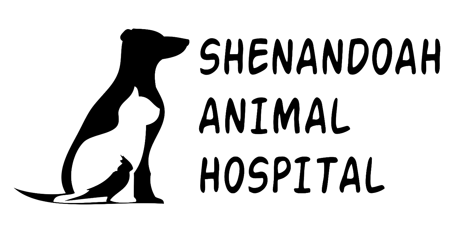 Shenandoah Animal Hospital