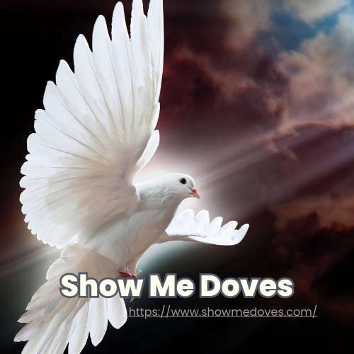 Show Me Doves