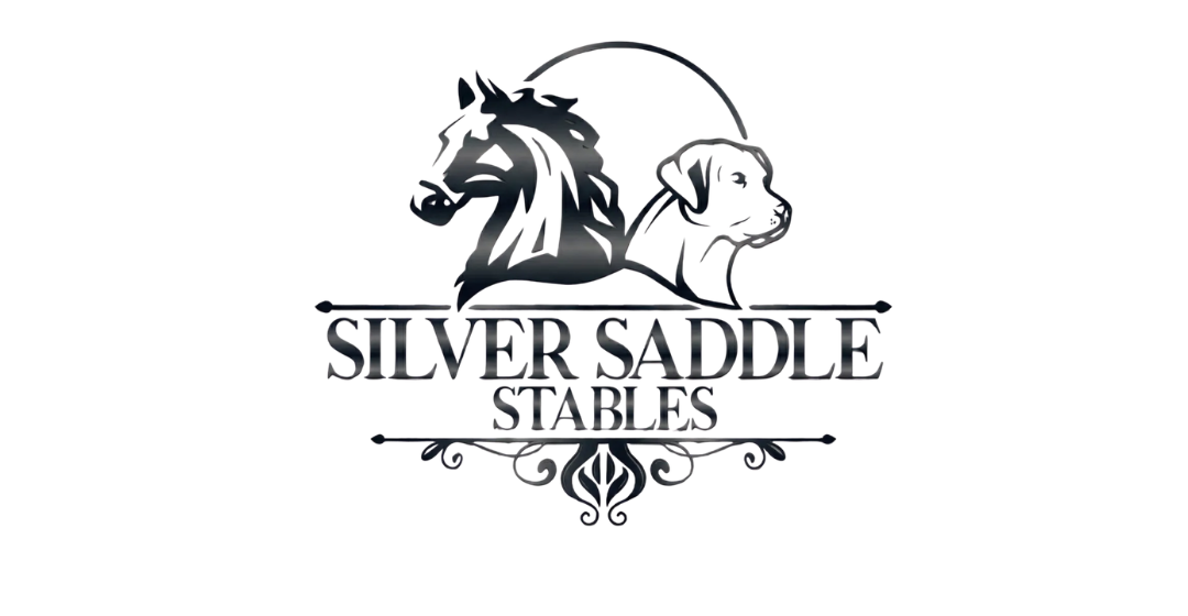 Silver Saddle Stables