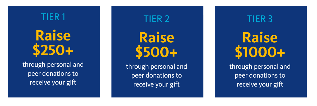 Incentive Program