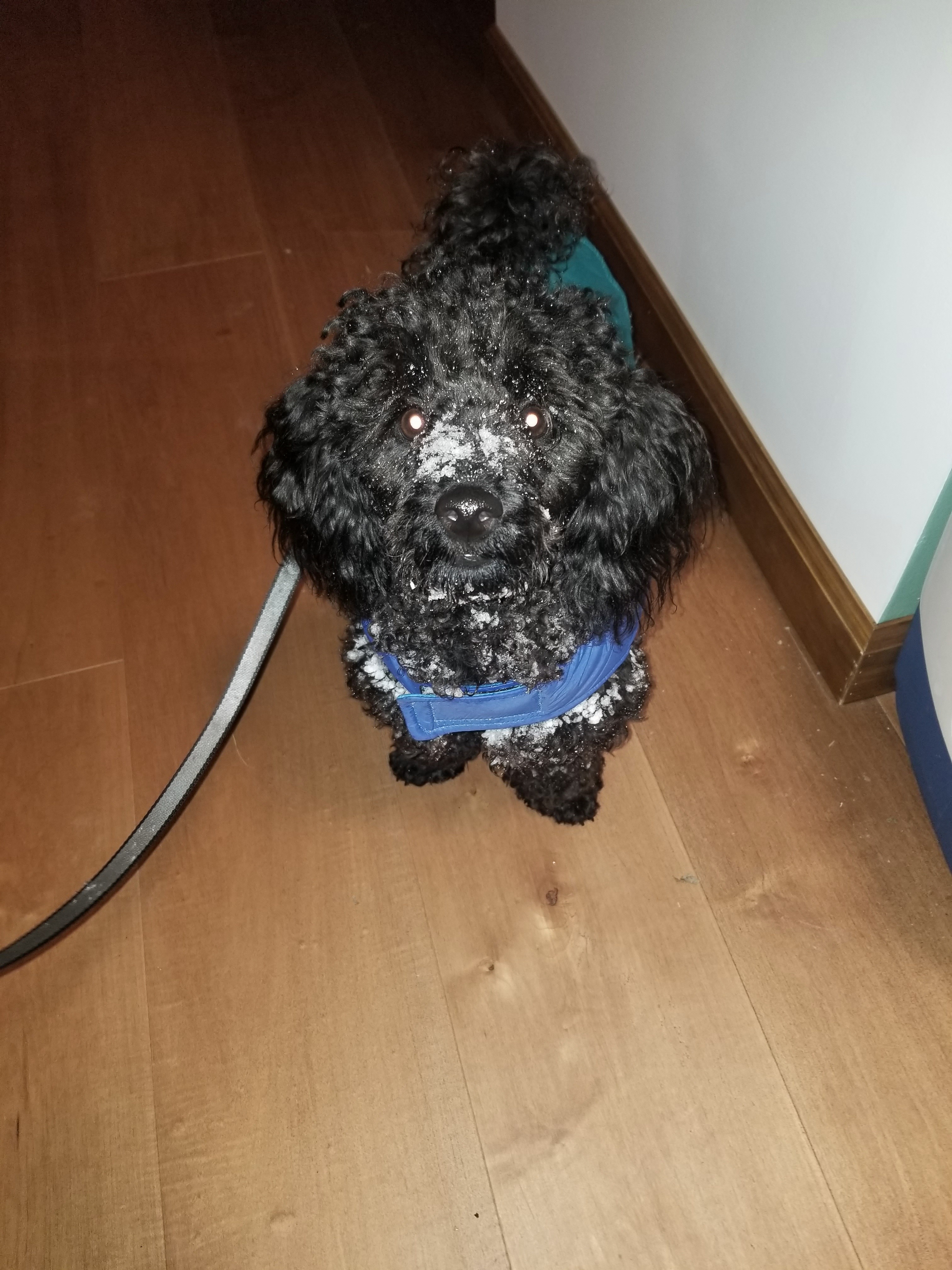 Do I have to come in?