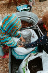 Fall Garden Prep