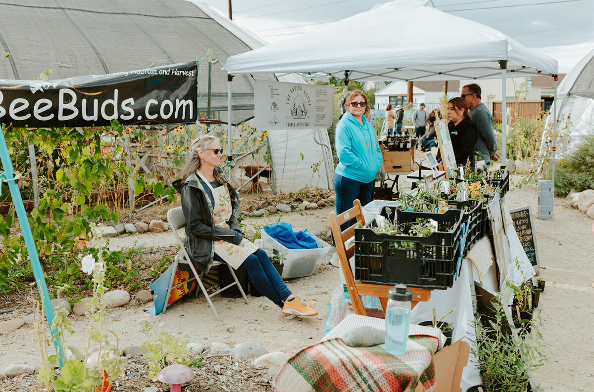 Local Vendors