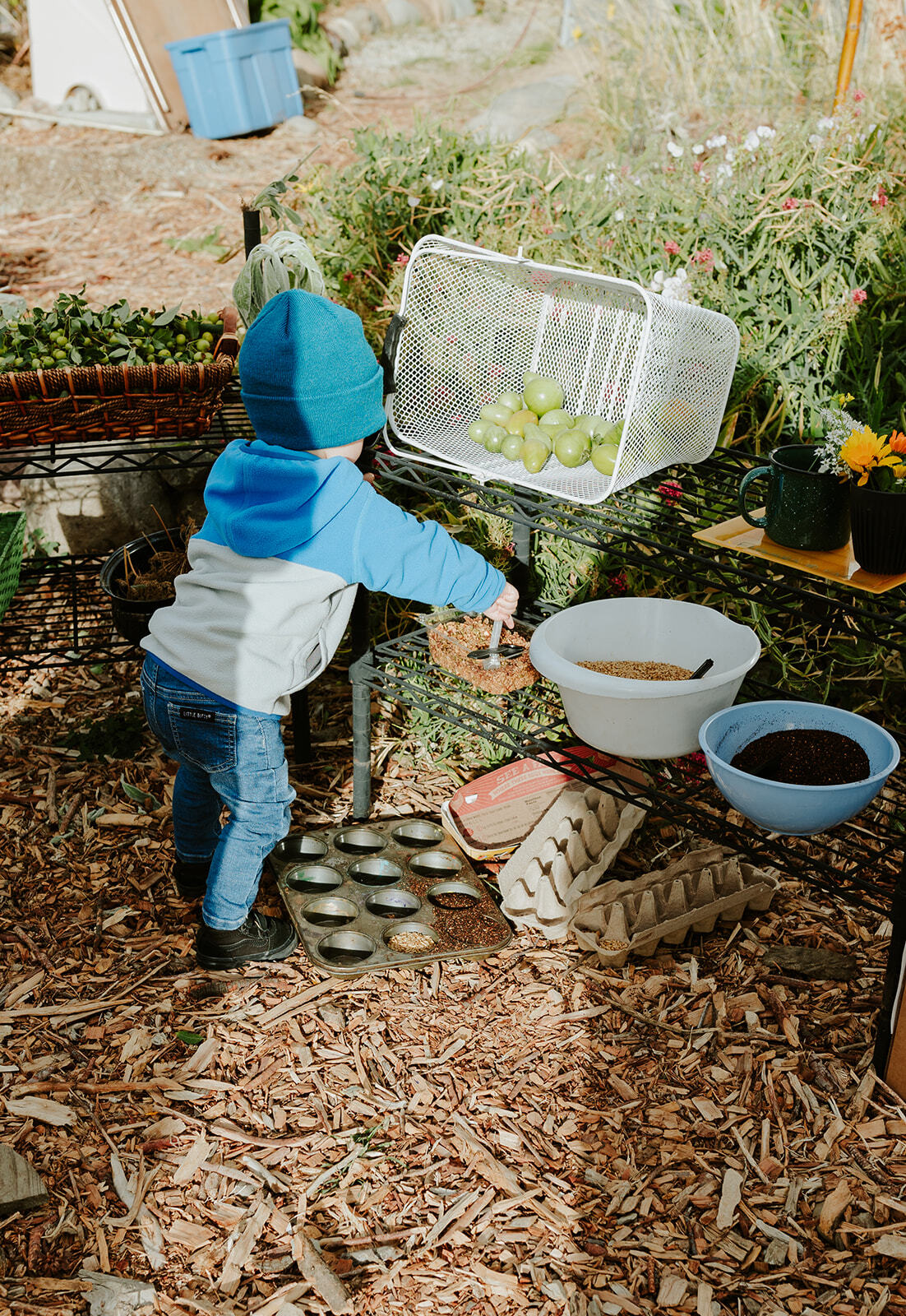 Local Food Systems