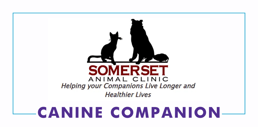 Somerset Animal Clinic
