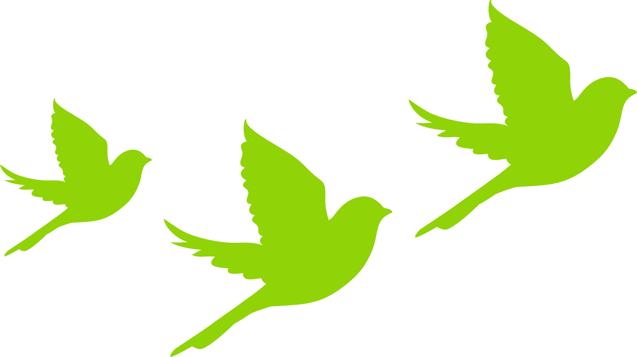 Sparrow Clubs U.S.A.