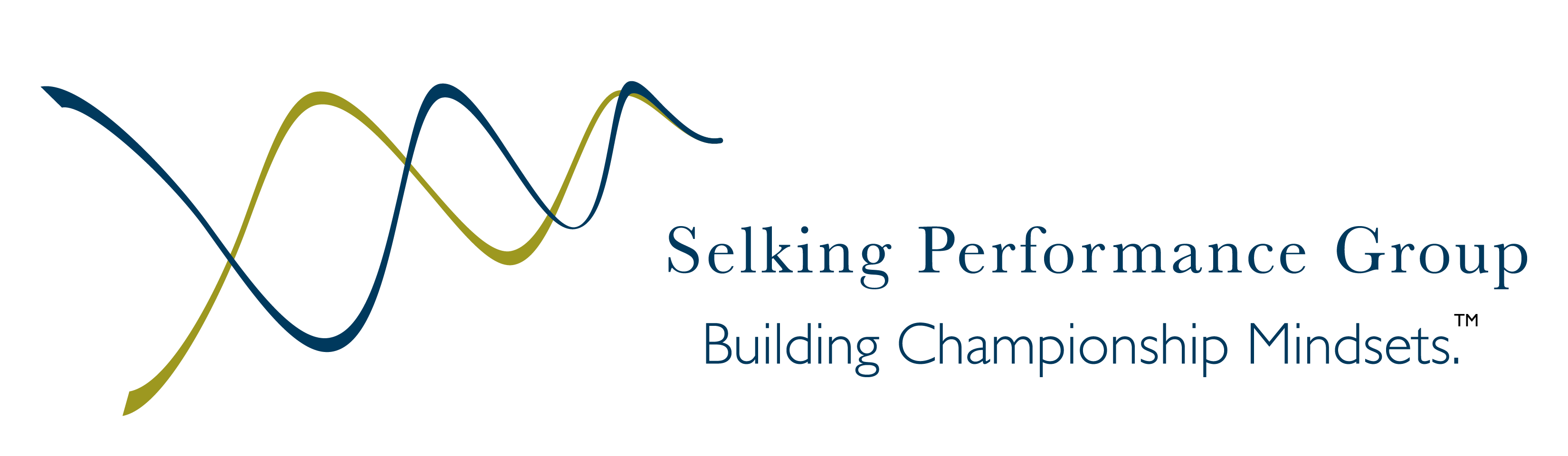 Selking Performance Group