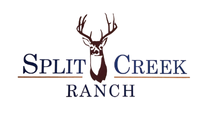 Thank you Award Sponsor