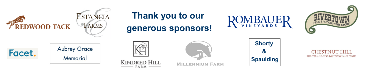 Giant Steps Charity Classic Team Challenge Fundraising