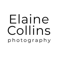 Elaine Collins Photography