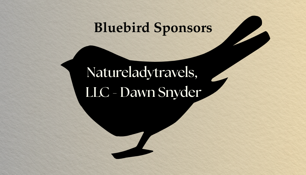 Natureladytravels, LLC- Dawn Snyder