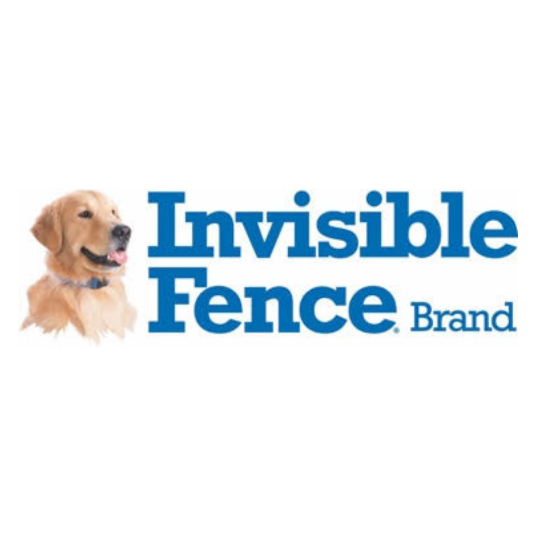 Invisible Fence