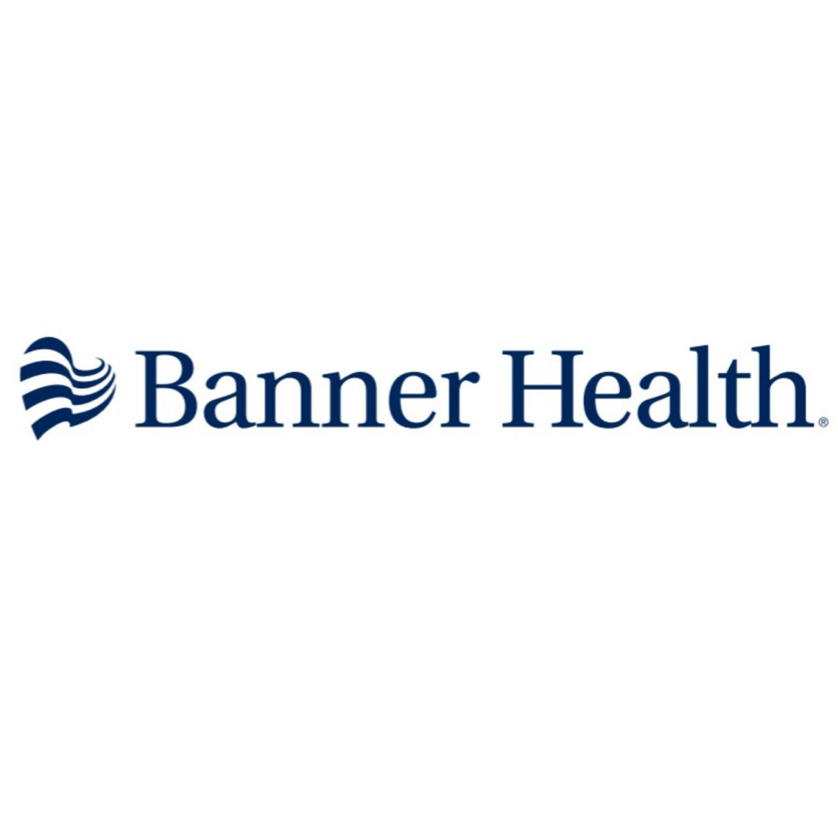 Silver Sponsor