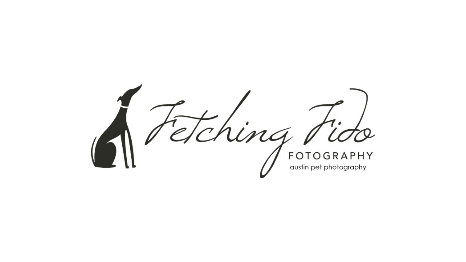 Fetching Fido