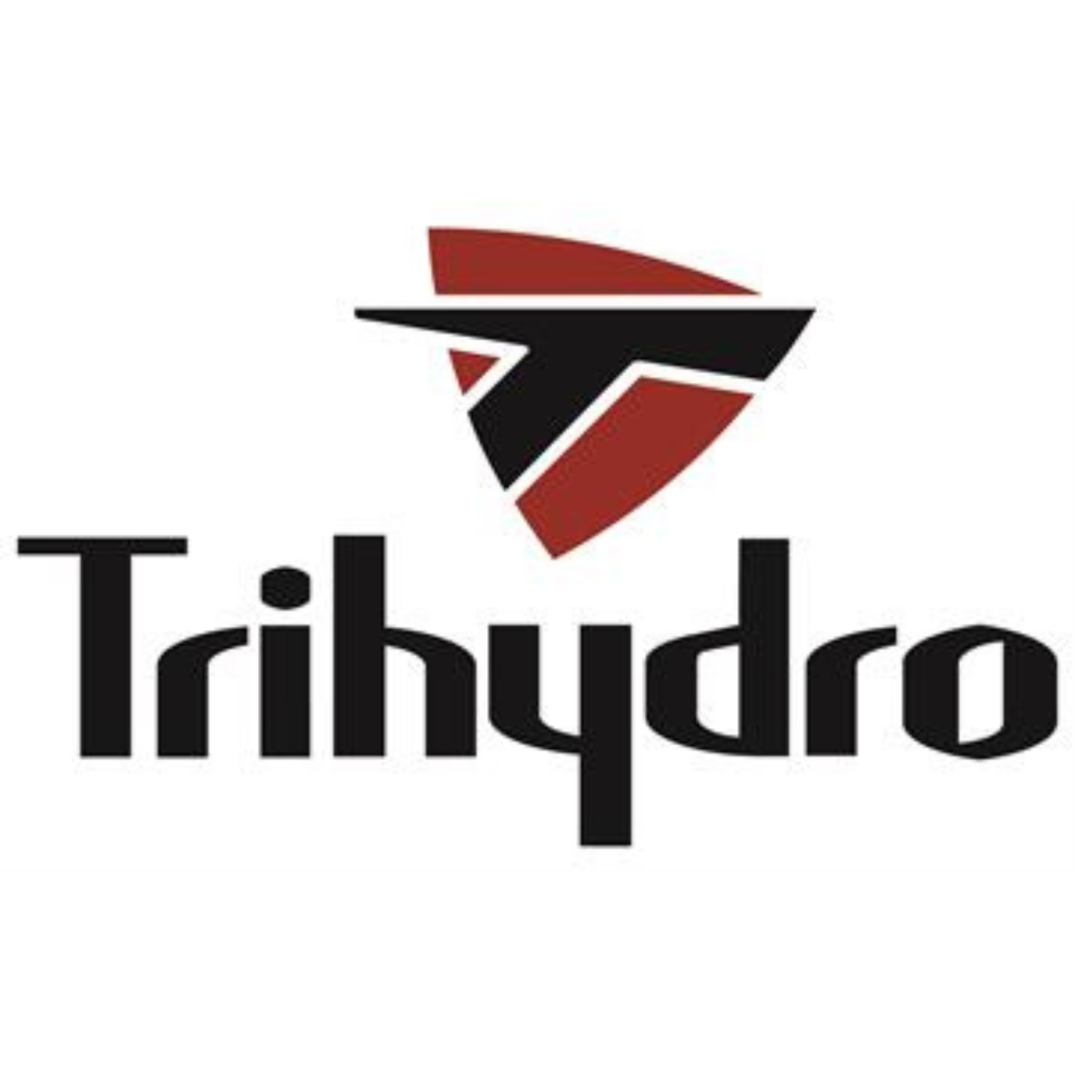 Silver Sponsor
