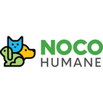 Silver Sponsor