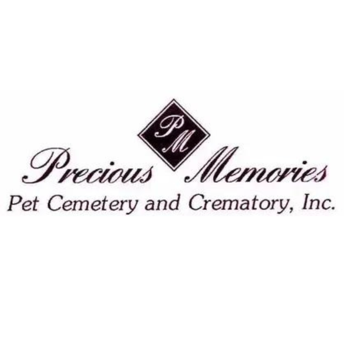 Platinum Sponsor