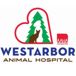 Westarbor Animal Hospital