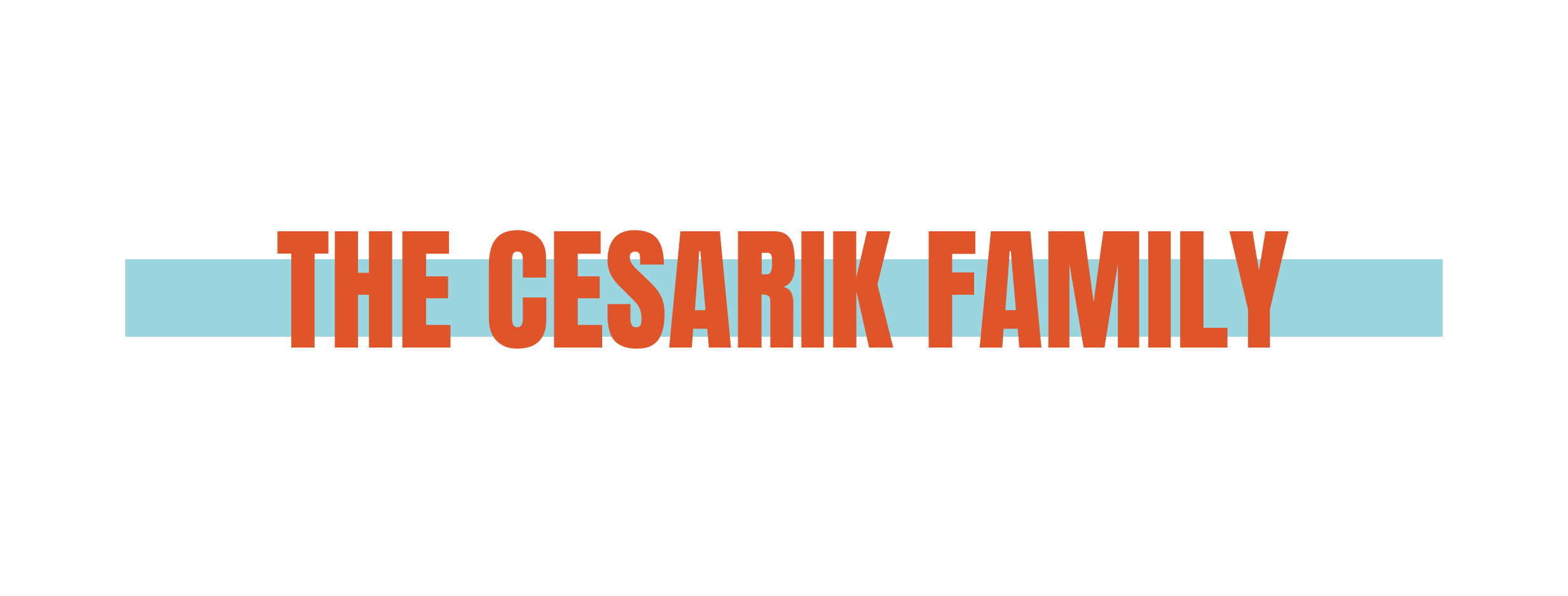 The Cesarik Family