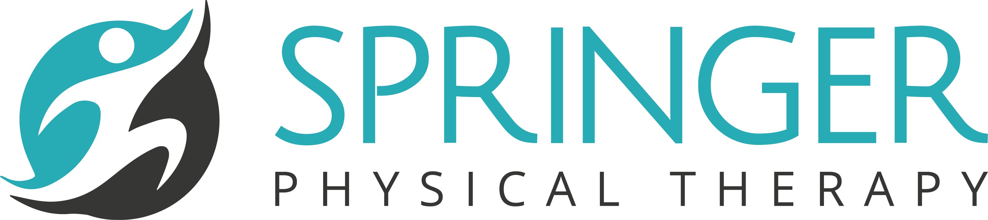 Springer Physical Therapy
