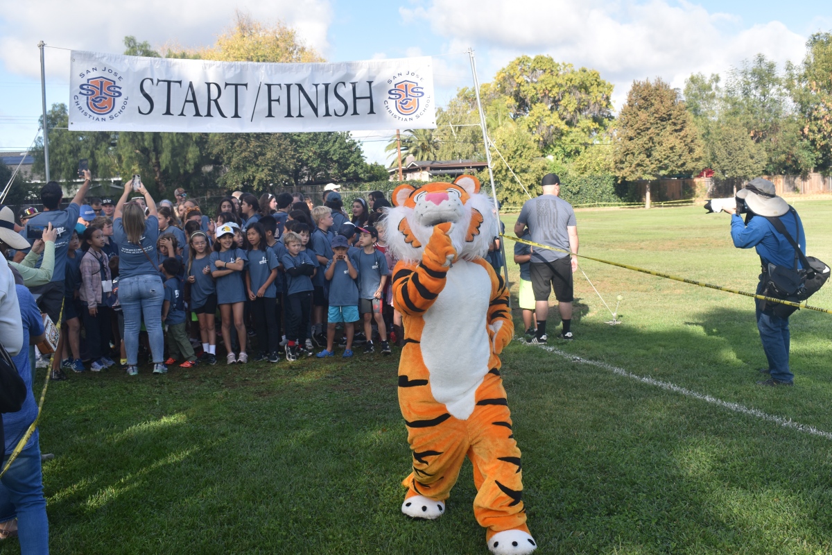 Start/Finish Line