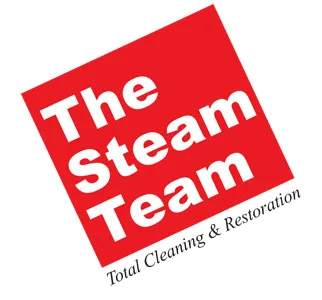 Steam Team