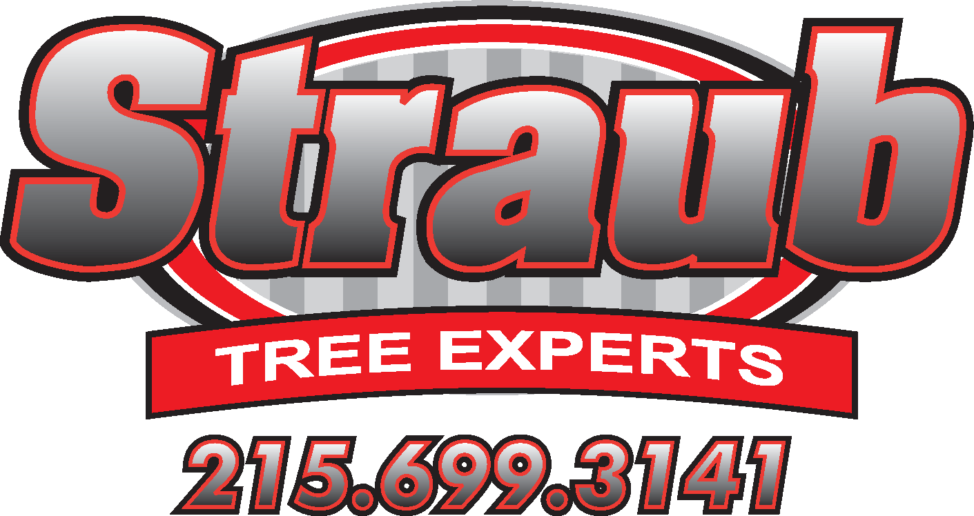 Straub Tree Experts