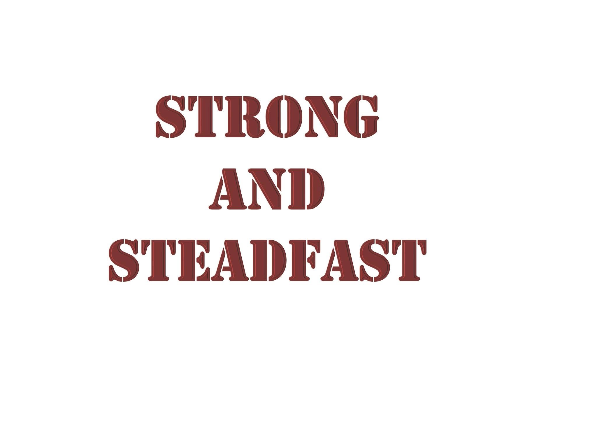 Strong and Steadfast Support Group - Lunch Donor