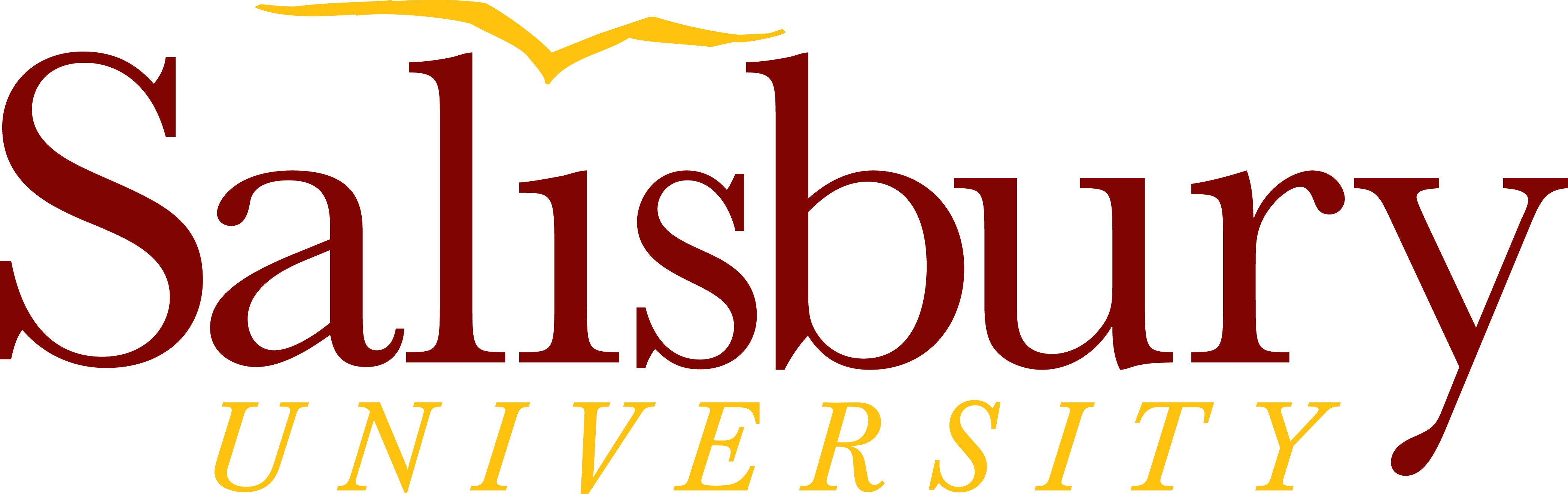 Sailsbury University 