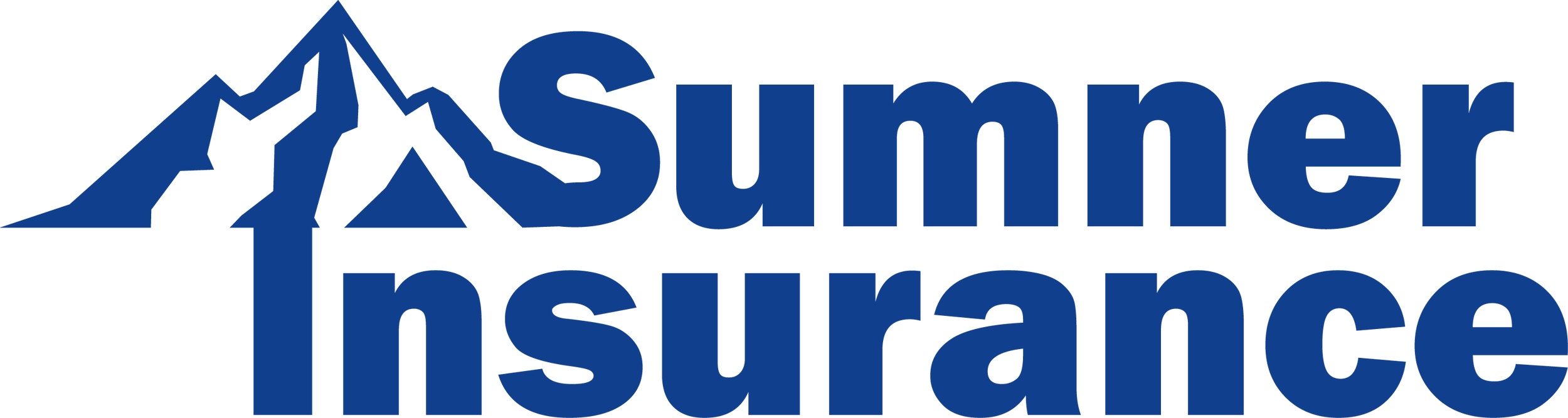 Sumner Insurance Group