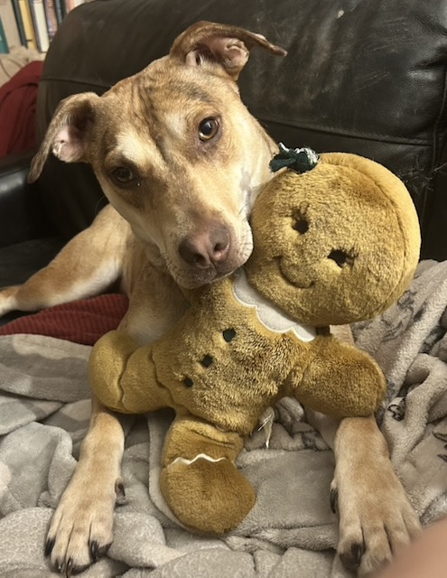 Suzi and Gingerman.jpeg