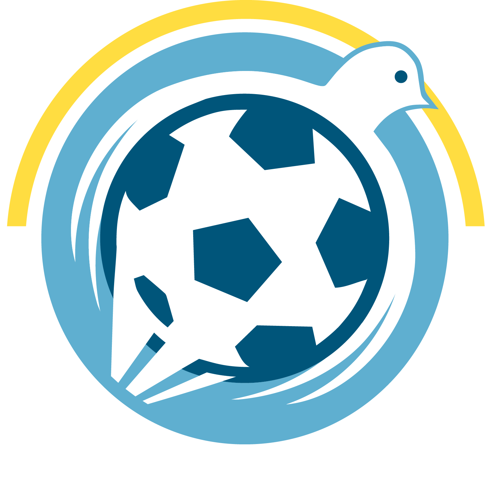 Soccer Without Borders