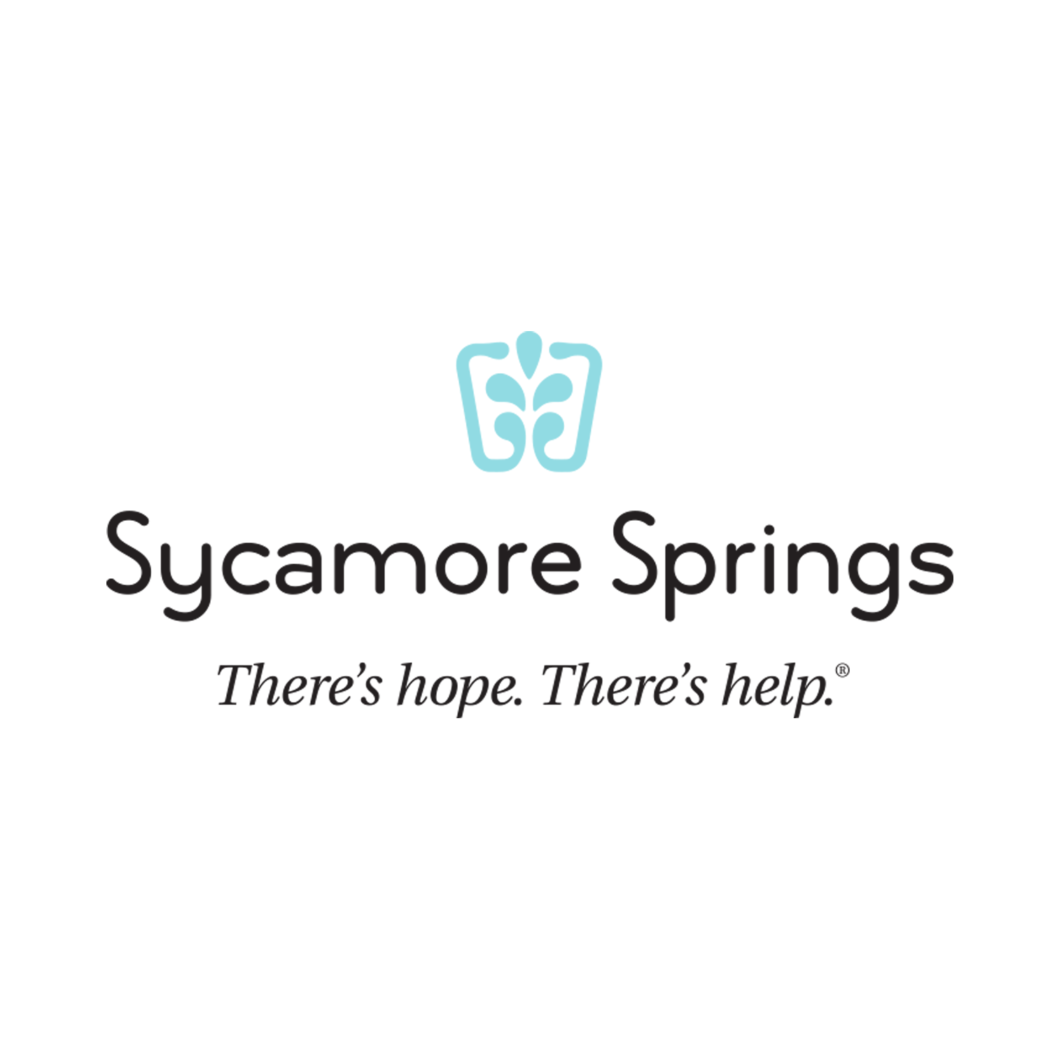 Sycamore Springs / Changes