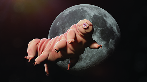 tardigrade and fullmoon-resized.jpg