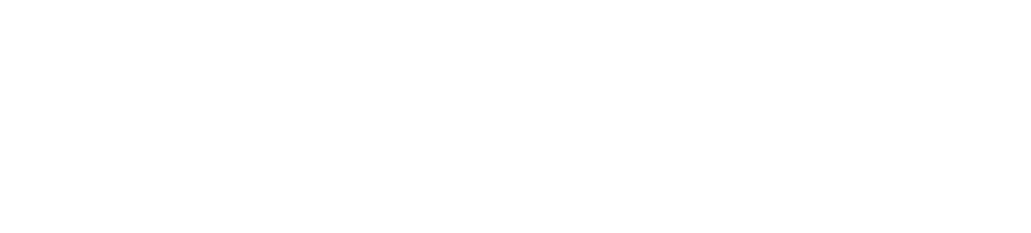 The Children's Institute Foundation