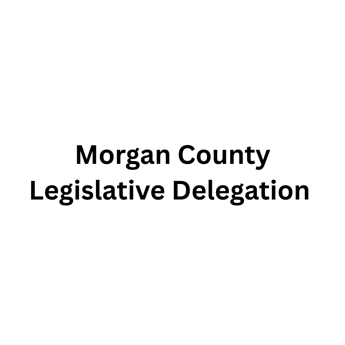 Morgan County Legislative Delegation 