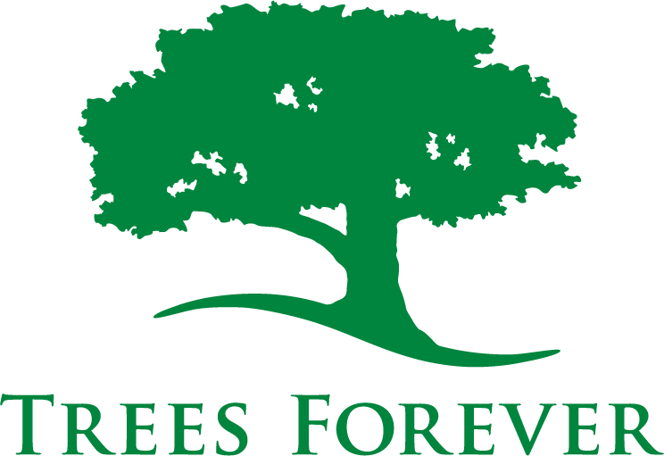 Trees Forever