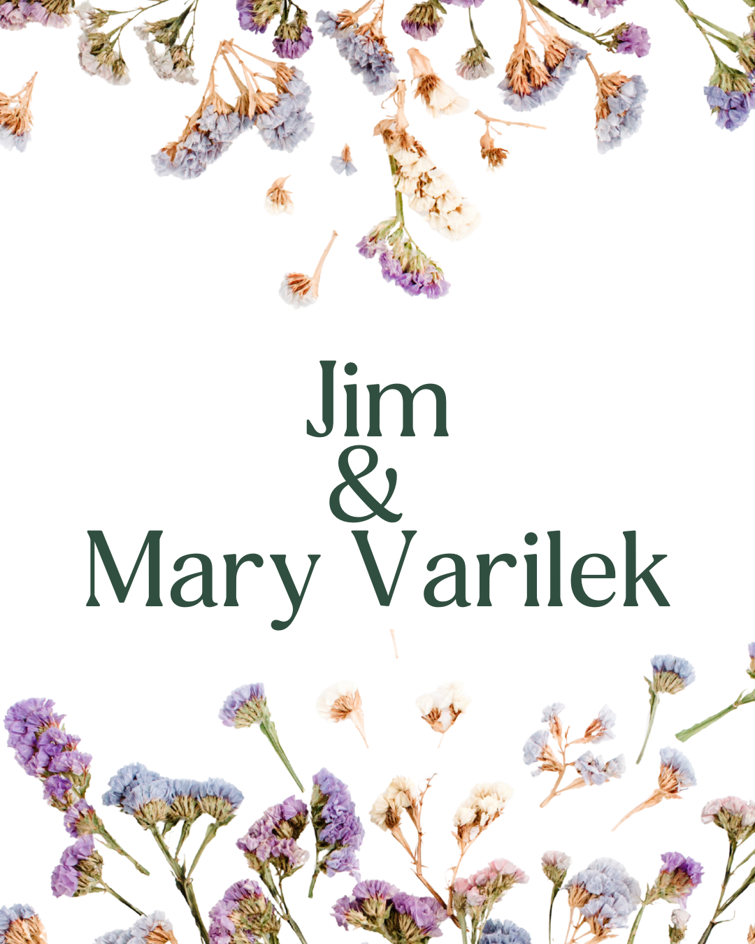 Jim and Mary Varilek | Silver Sponsor