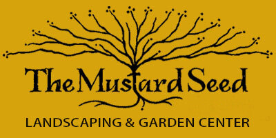 The Mustard Seed
