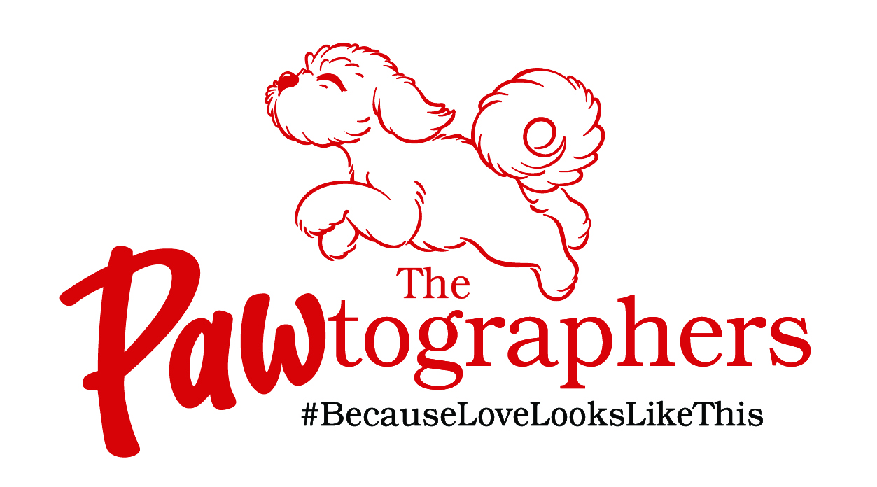 The PAWtographers