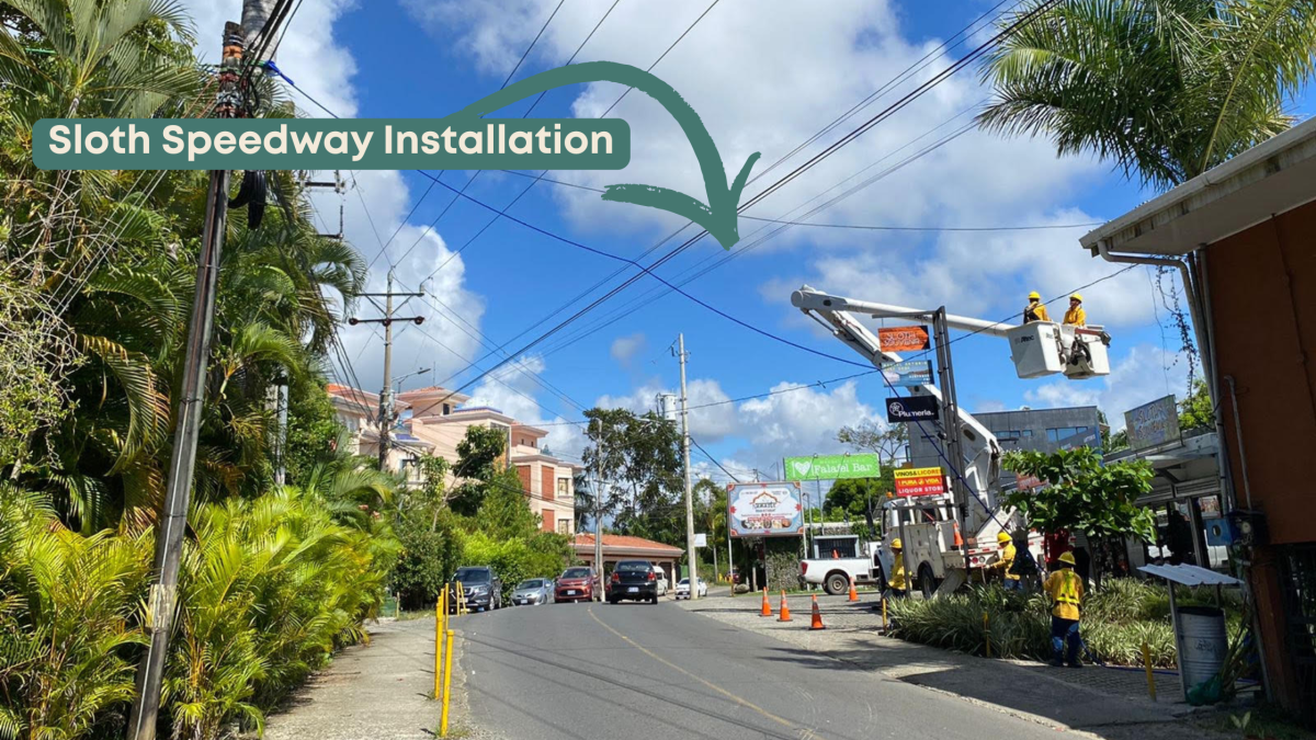 Your Donation in Action