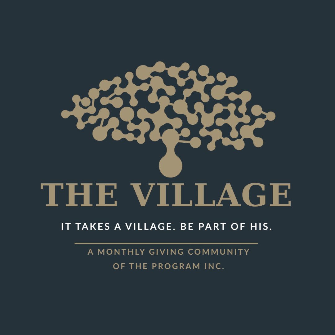 The Program Inc.
