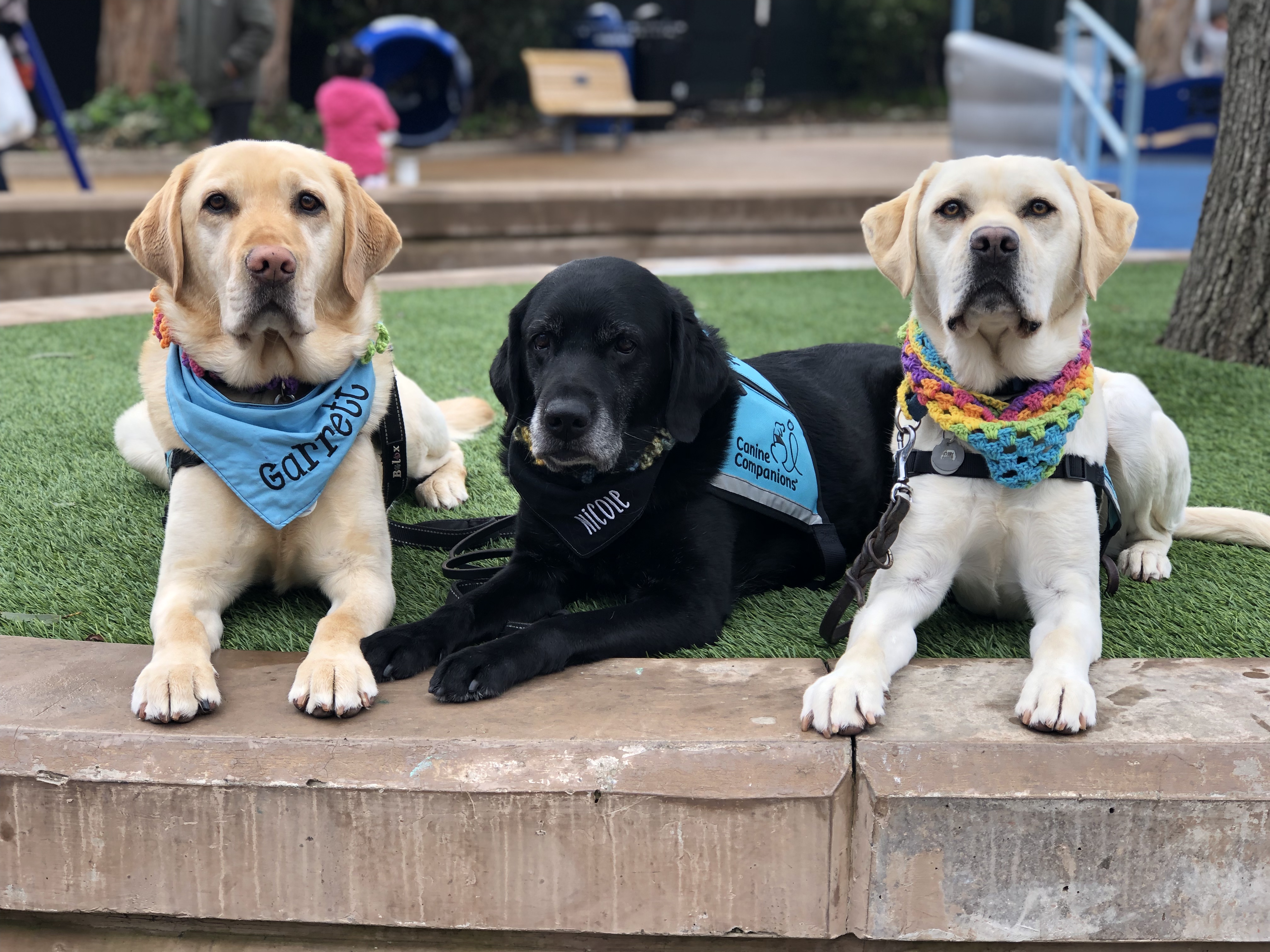 Randy & Linda Wight & Service Dog Ginger - In Honor of San Francisco & South Bay Therapy Dog Teams