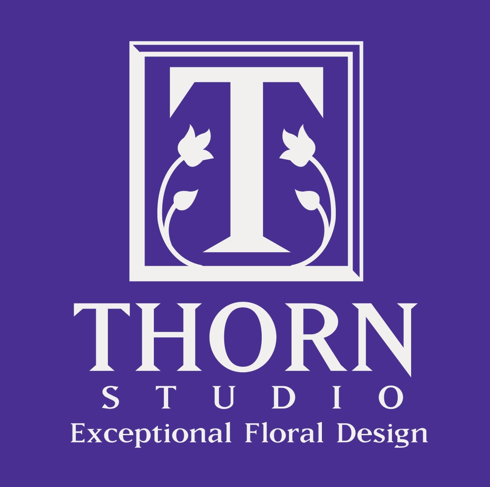 Thorn Studio