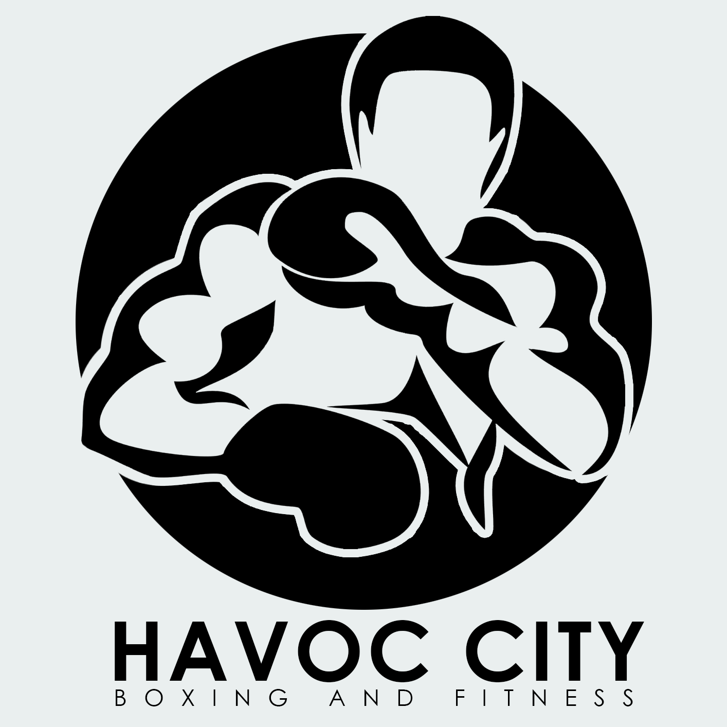 Havoc City Boxing and Fitness