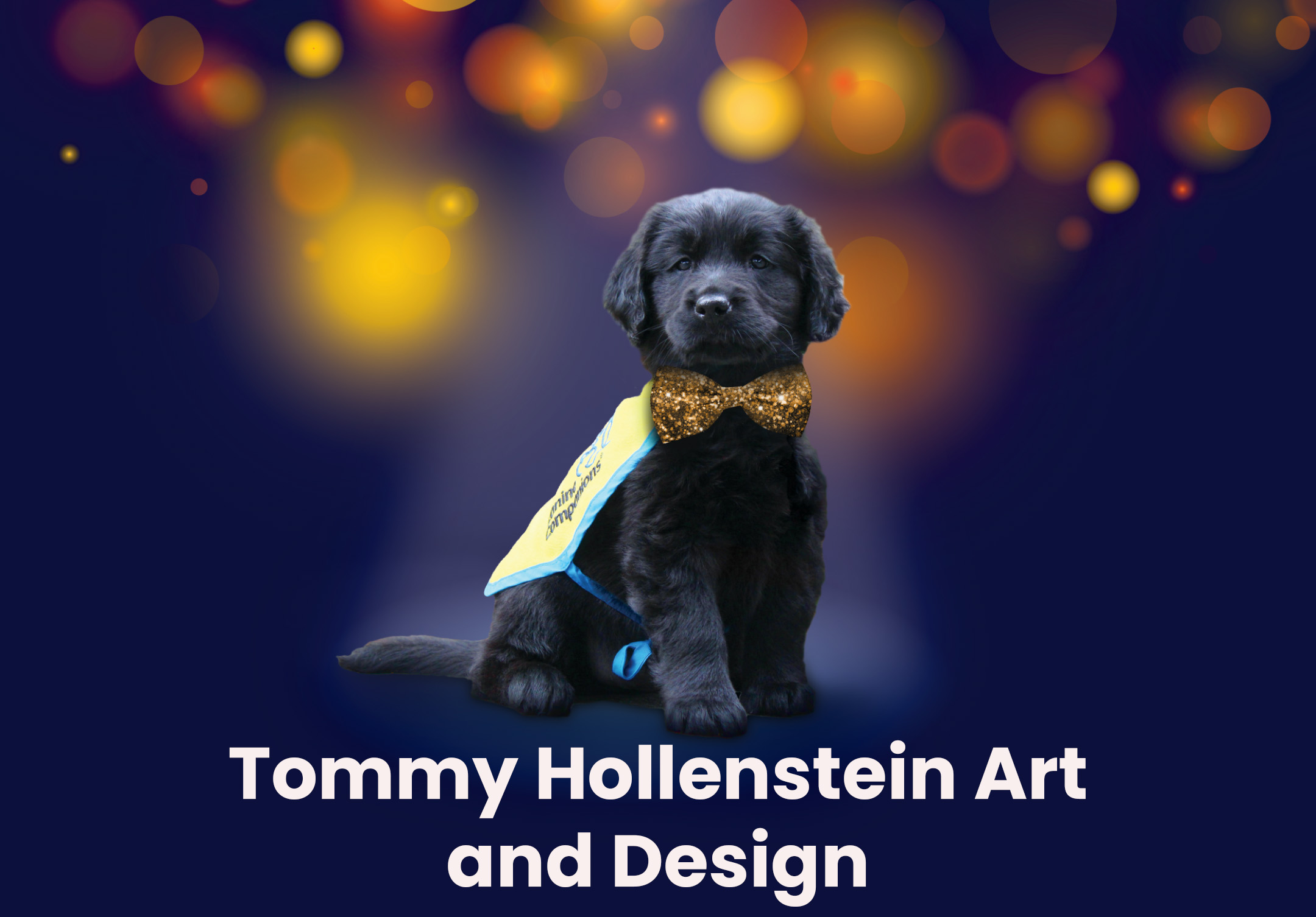 Tommy Hollenstein Art and Design