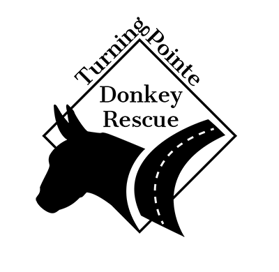 Turning Pointe Donkey Rescue