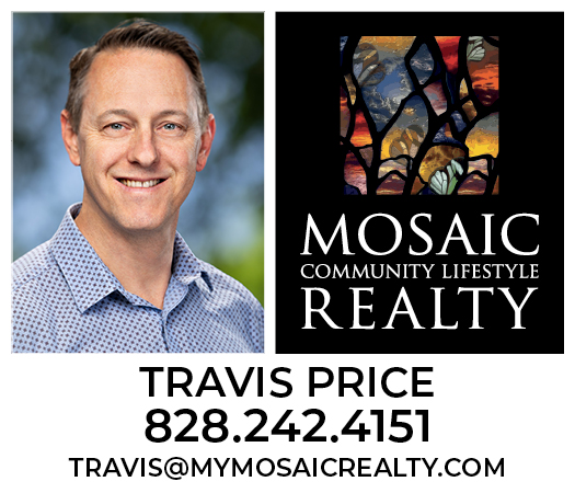 Mosaic Realty - Travis Price